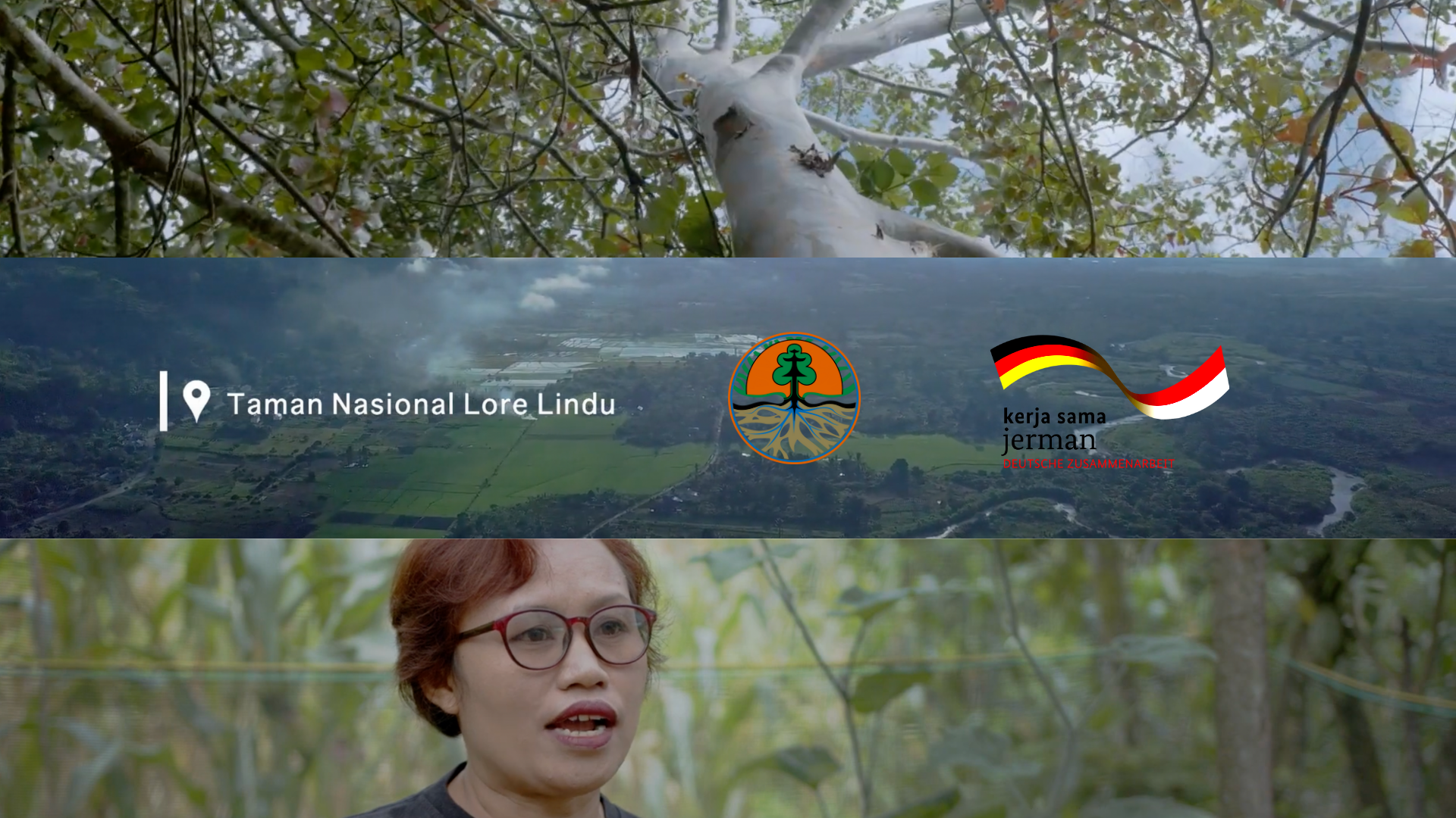 Hutan Terjaga, Rakyat Sejahtera thumbnail